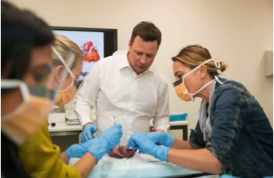 INAUGURAL CARDIAC NURSES EDUCATION CONFERENCE