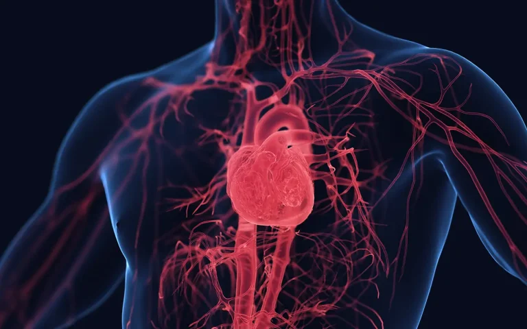 Artery regeneration work at The Baird Institute