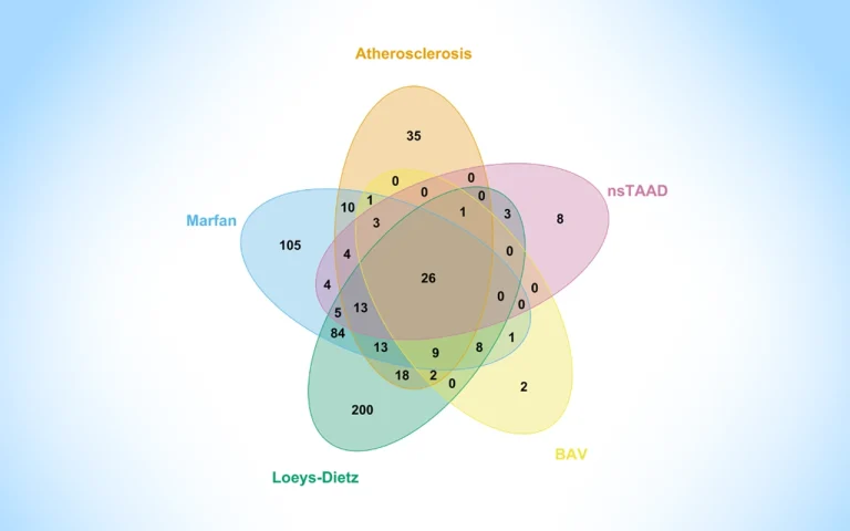 Thoracic Aortic Aneurysm Subtypes - by Briet Steffansdottir